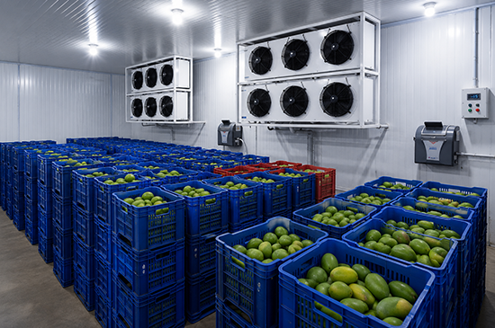 nandikoti_Cold Storage & Cold Room